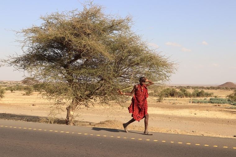 Curso de literatura de viajes