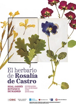 La literatura y la botánica vinculadas en la exposición el ‘Herbario de Rosalía’