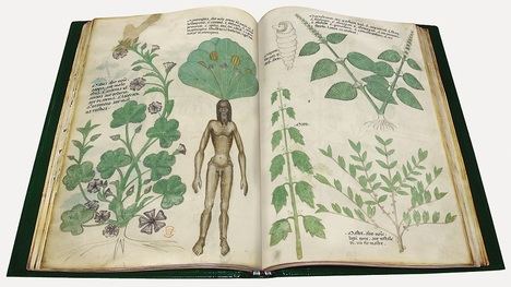 Un recorrido por los códices botánicos iluminados de la Edad Media y el Renacimiento en el Real Jardin Botánico