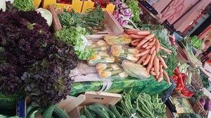 LECHUGAS TRAIGO, ¡ÁNIMO PEDRO!