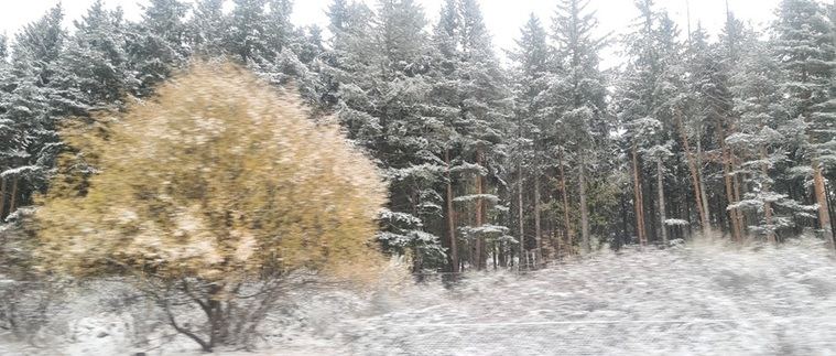 Paisaje nevado en el río Duratón
