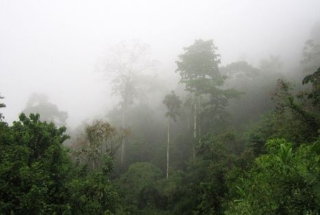 La llamada