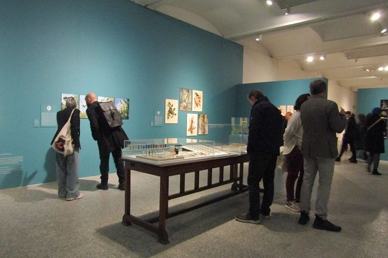 Exposición 'Ellas Ilustran Botánica'