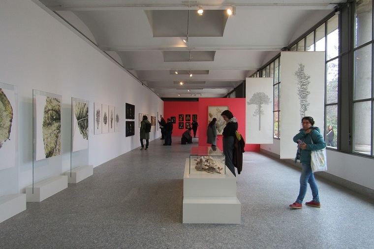 Exposición 'Ellas Ilustran Botánica'