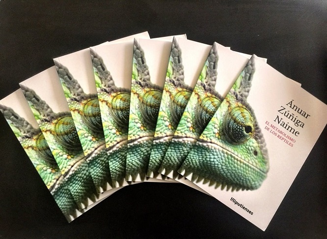 El metabolismo de los reptiles