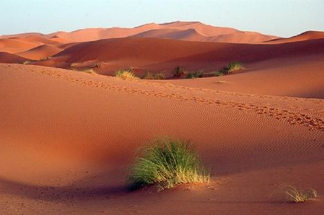 Sáhara Occidental