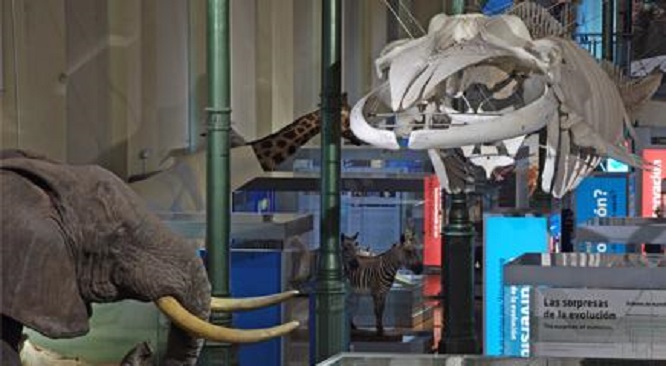Interior del Museo de Ciencias Naturales de Madrid