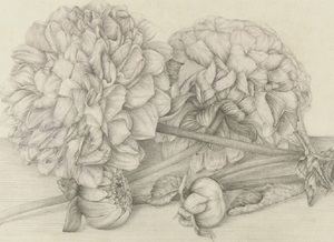 ‘Herbarios imaginados’, una exposición entre el arte y la ciencia