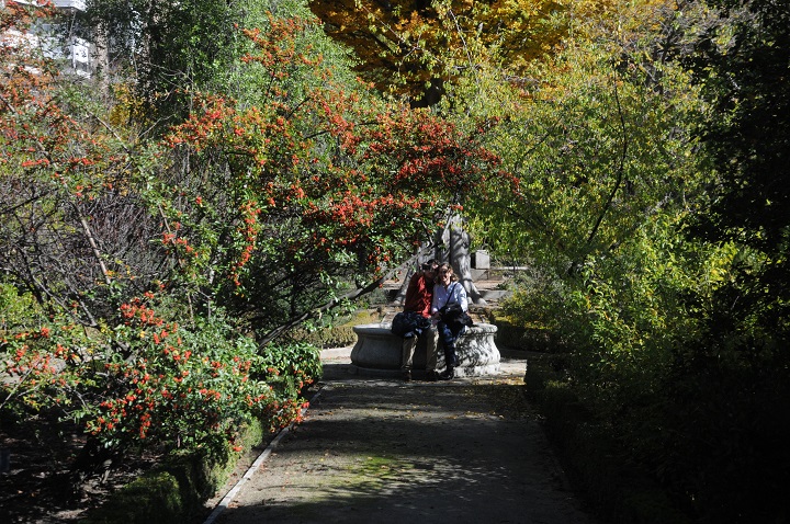 Jardín Botánico de Madrid en otoño