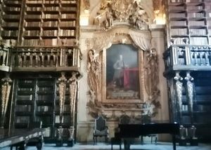Los murciélagos salvaron a la Biblioteca Joanina de Coimbra, una de las joyas del Barroco portugués