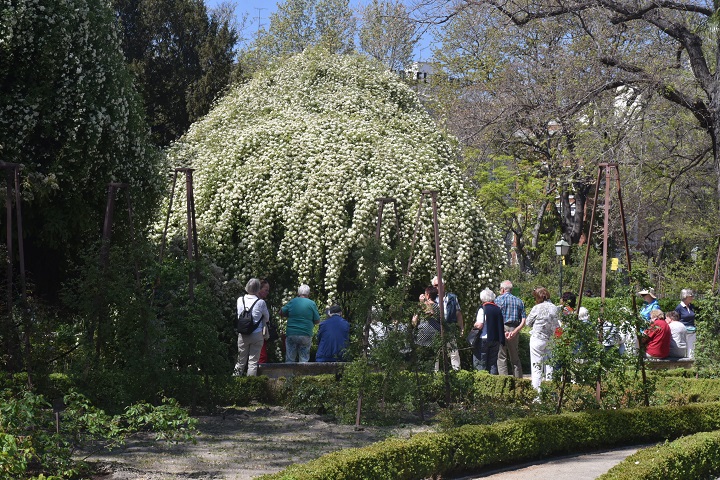 La noche de los libros en el Real Jardín Botánico de Madrid