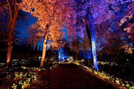 Naturaleza encendida