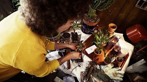 Audiolibros para comenzar bien el año