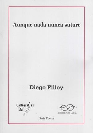 “Aunque nada nunca suture”, de Diego Filloy