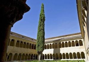 El ciprés de Silos: Un símbolo de espiritualidad y anhelo en la poesía de Gerardo Diego