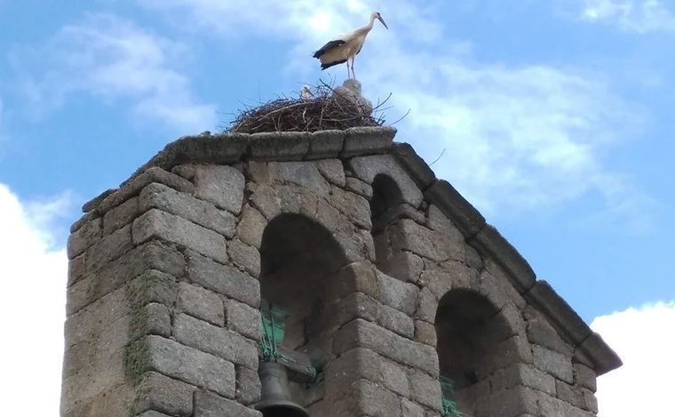 Espadaña de la iglesia de Gallegos de Sobrinos
