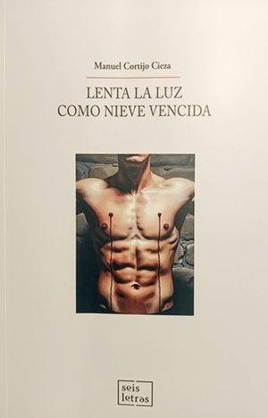 Acerca de “Lenta la luz como nieve vencida”, poesía reunida de Manuel Cortijo Cieza