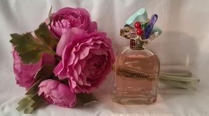 PARADOJAS DE LA VIDA