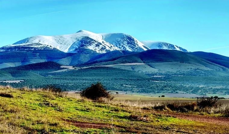 “¡Oh mole del Moncayo alta y rosa, / allá, en el ciego de Aragón, tan bella!”