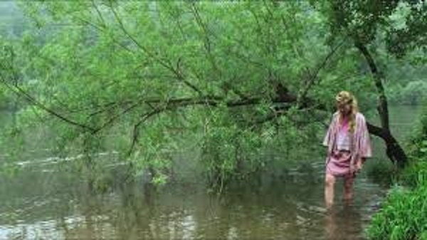 Los nenúfares de Monet