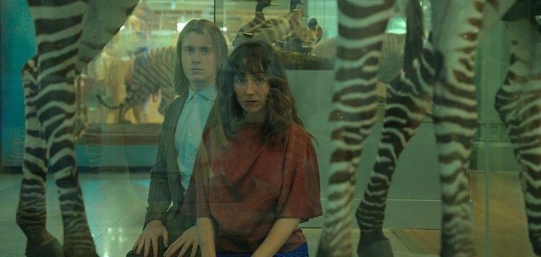 Taxidermia de una alondra