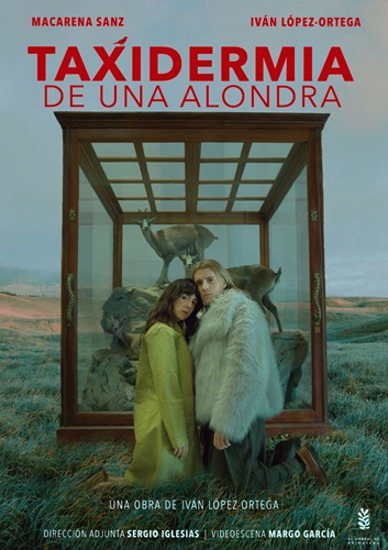 Taxidermia de una alondra