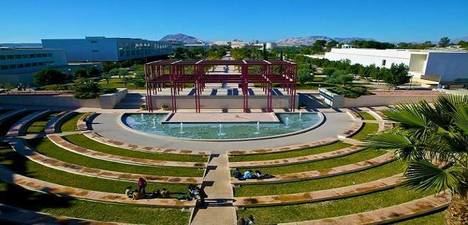 La OEI y la Universidad de Alicante crean la Cátedra Iberoamericana de Cultura Digital y Propiedad Intelectual