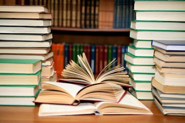 Continúa el descenso de la venta de libros en 2013 en España, pero la facturación del libro digital sube un 8%