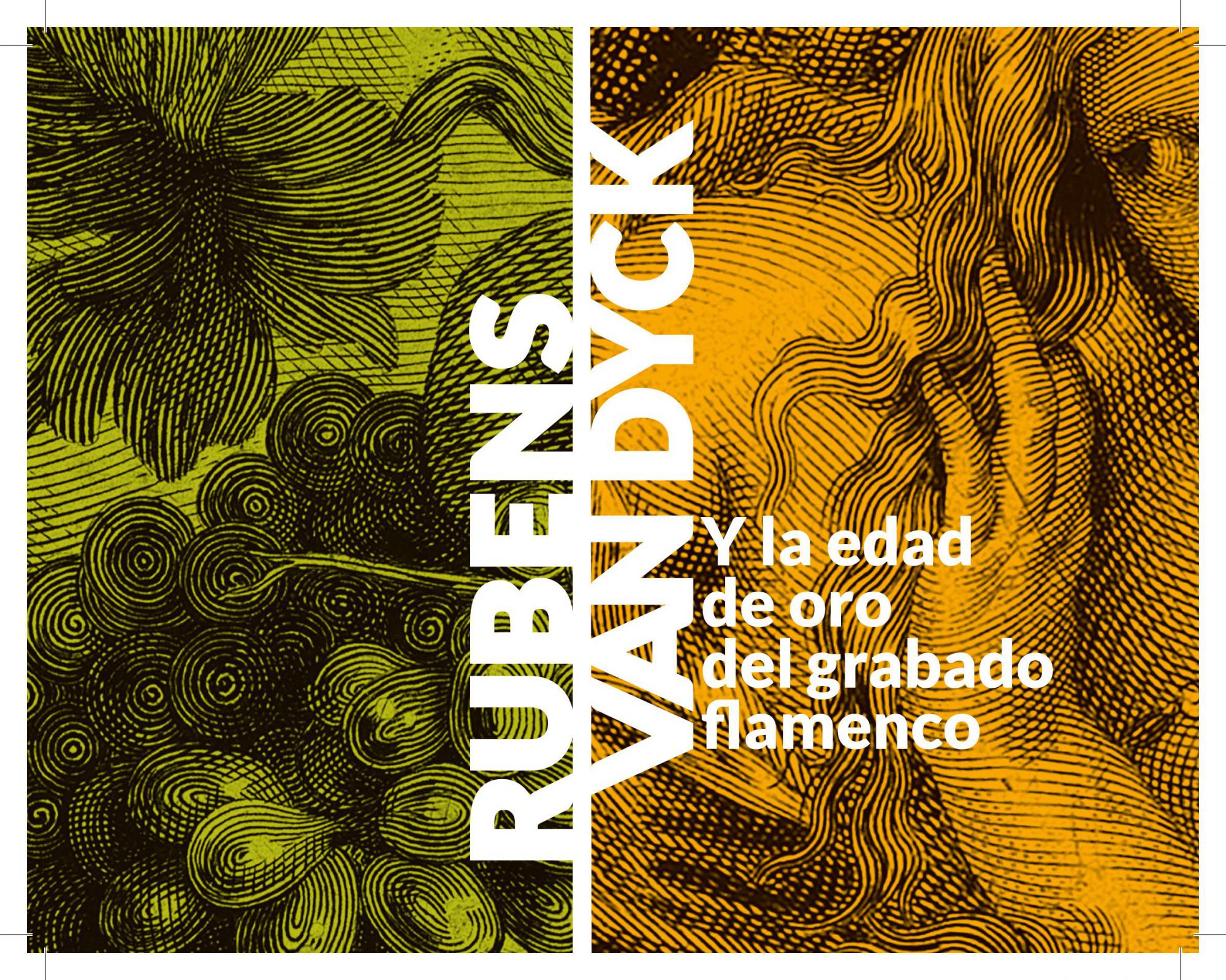 Exposición: “Rubens, Van Dyck y la Edad de Oro del grabado”