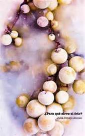 La poeta de Tarrasa, Julia Conejo, publica en la editorial Origami '¿Para qué sirve el frío?' que supone su tercer poemario en tres años