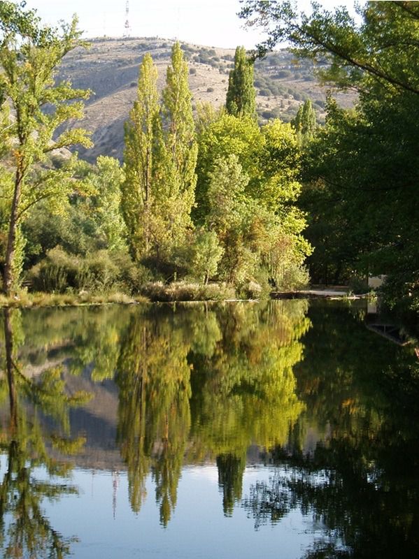 El Chopo Y El Agua Enamorados An lisis Del Poema De Pedro Salinas 