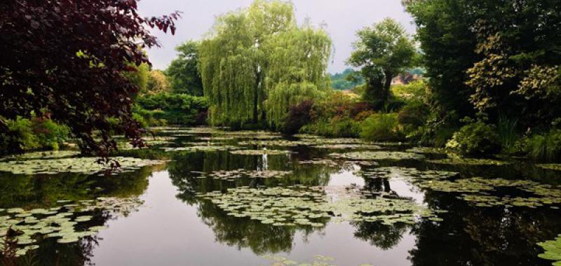 Los nenúfares de Monet