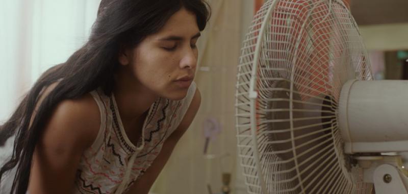 El despertar de las hormigas