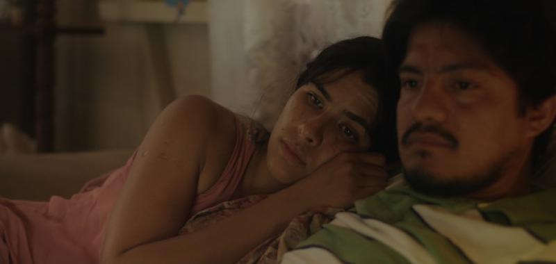 El despertar de las hormigas