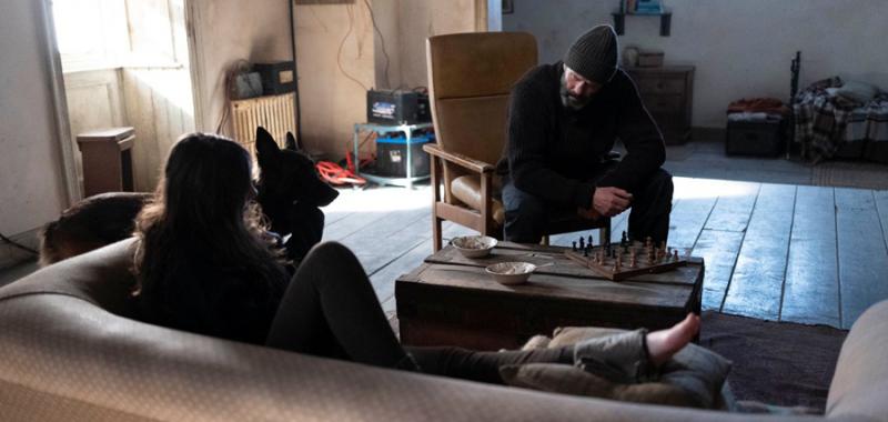 Shelter El protector